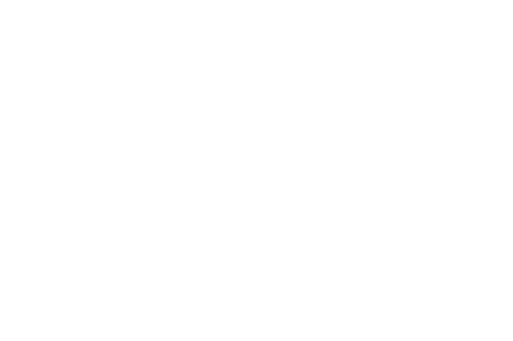 Houston International Film Festival